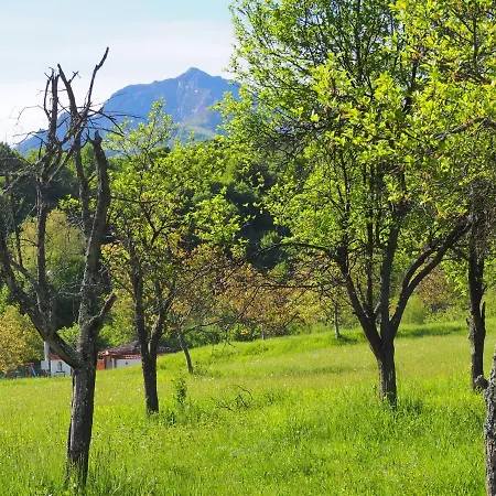 假日公园 巴巴斯塔那假日公园 2*