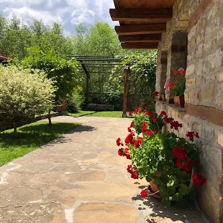 巴巴斯塔那假日公园 假日公园